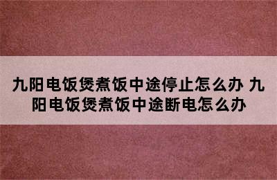 九阳电饭煲煮饭中途停止怎么办 九阳电饭煲煮饭中途断电怎么办